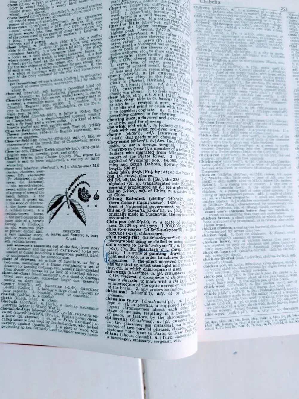1968 Webster's New World Dictionary of the American Language College Edition HC